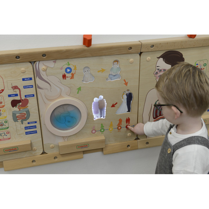 MASTERKIDZ Tablica Edukacyjna Cykl Życia Człowieka