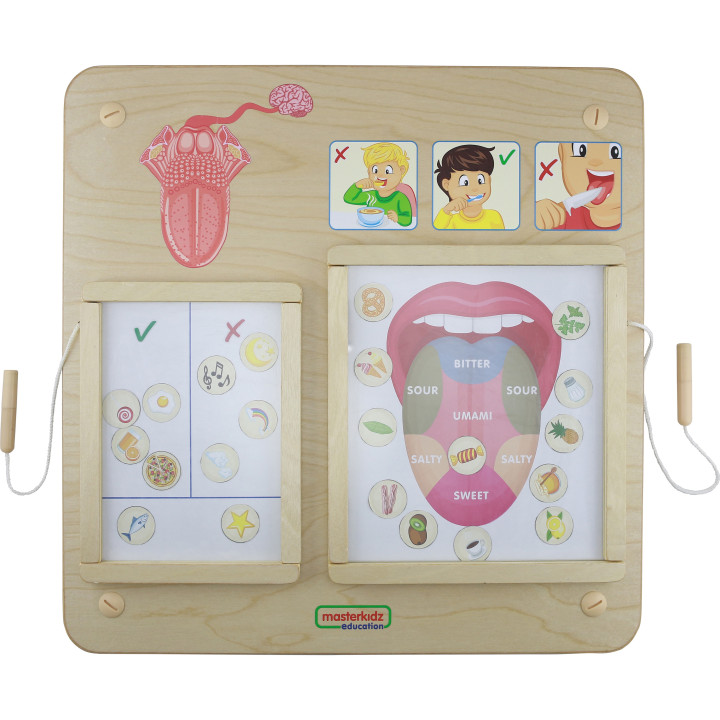 MASTERKIDZ Montessori Sense of Taste Educational Board