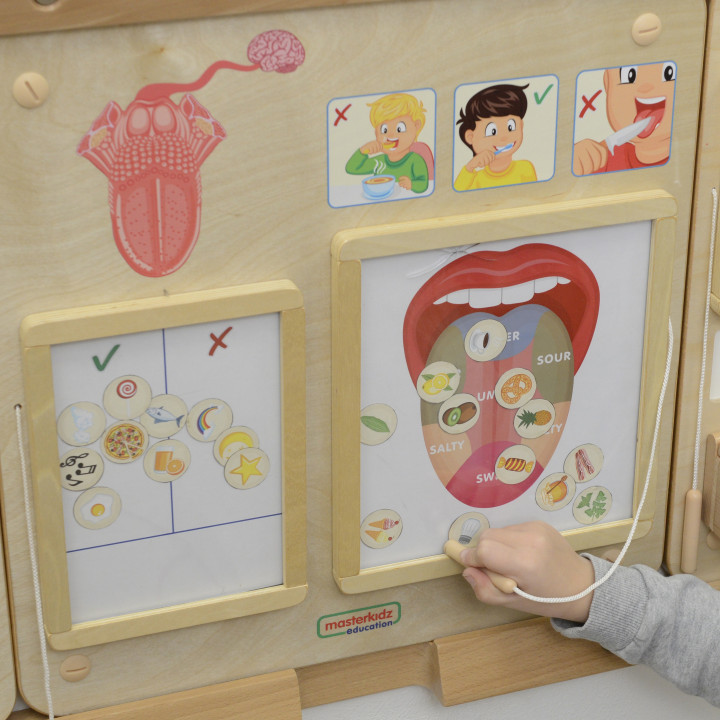 MASTERKIDZ Montessori Sense of Taste Educational Board