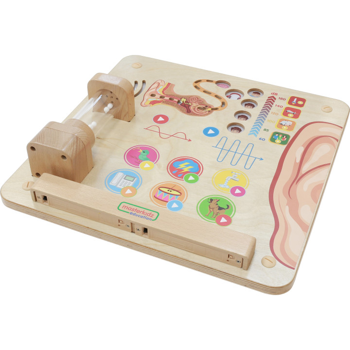 MASTERKIDZ Montessori Hearing Educational Board