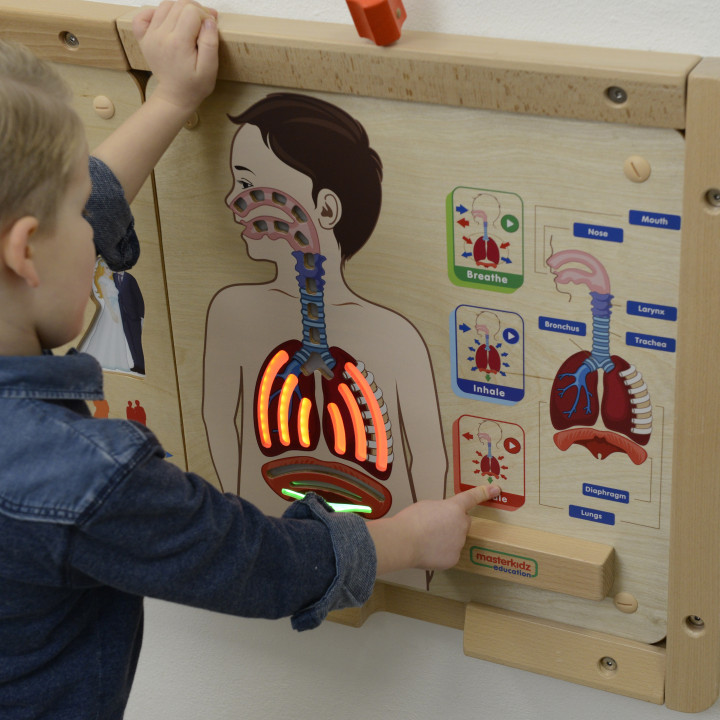 MASTERKIDZ Montessori Respiratory System Educational Board