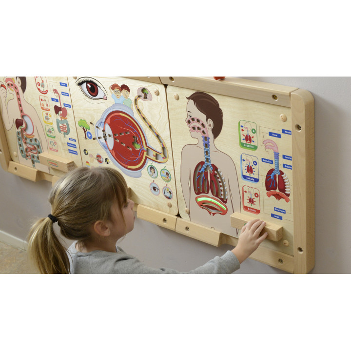 MASTERKIDZ Montessori Respiratory System Educational Board