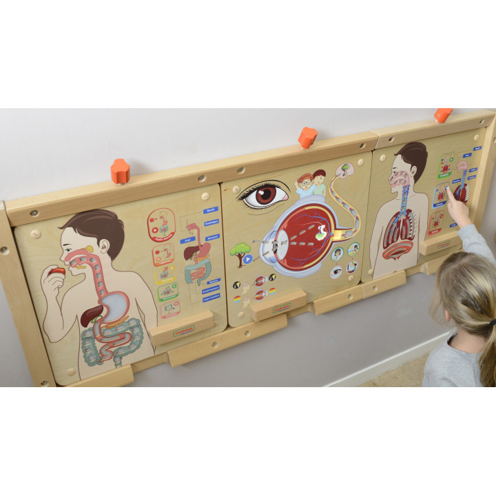 MASTERKIDZ Montessori Respiratory System Educational Board