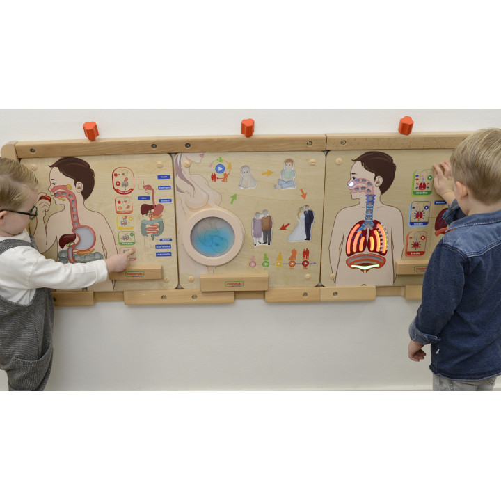 MASTERKIDZ Montessori Respiratory System Educational Board