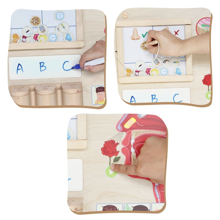MASTERKIDZ Montessori Sense of Smell Educational Board