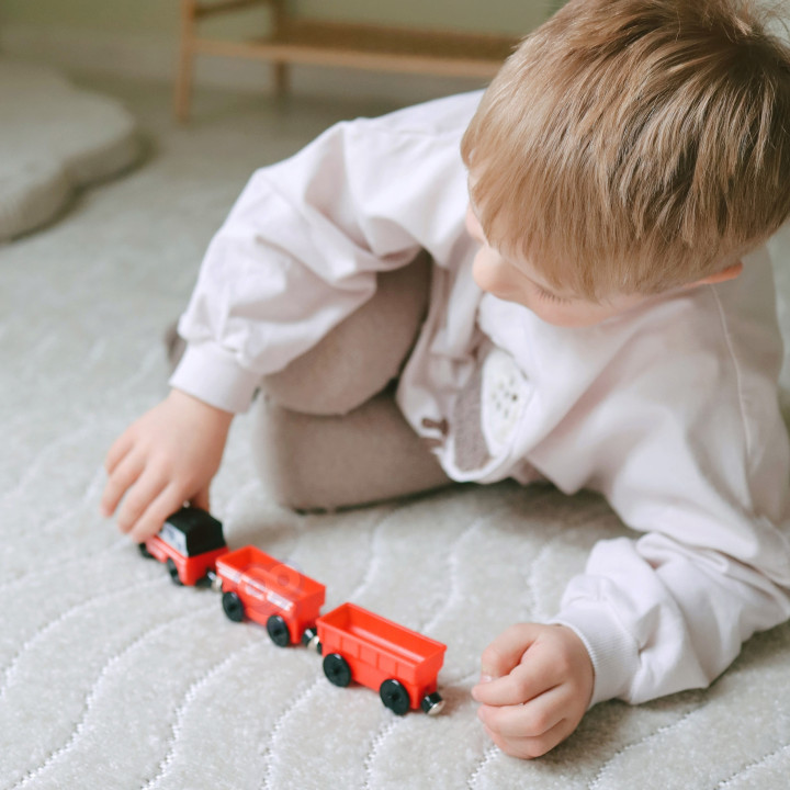 WOOPIE Electric Locomotive Train Magnet Cars