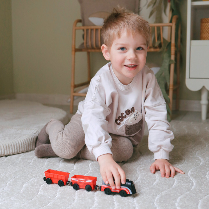 WOOPIE Electric Locomotive Train Magnet Cars