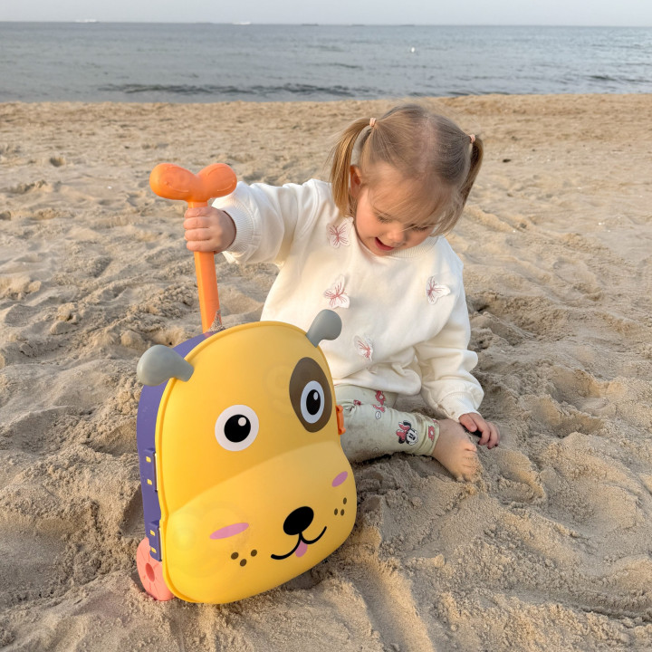 WOOPIE 3-in-1 Sandbox Set, Suitcase, Dog, Water Table