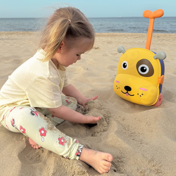 WOOPIE 3-in-1 Sandbox Set, Suitcase, Dog, Water Table