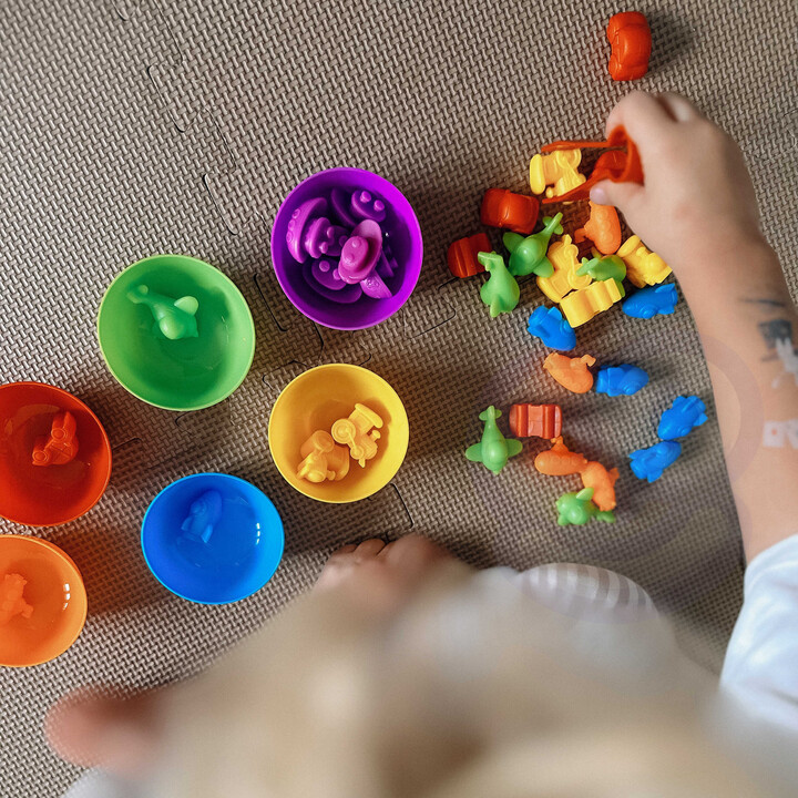 WOOPIE Montessori Educational Game Color Sorter Dinosaurs 56 pcs.