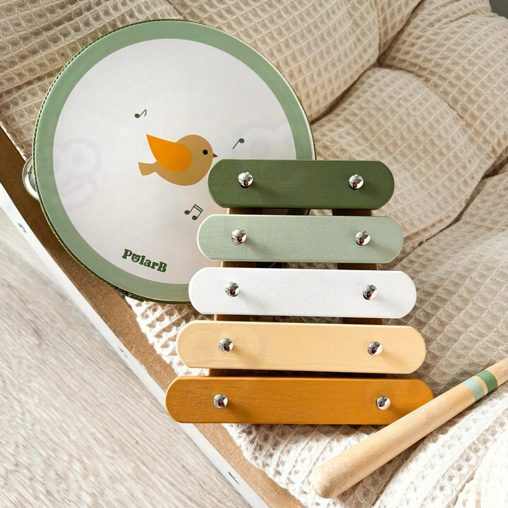VIGA PolarB Musical Instrument Set Green
