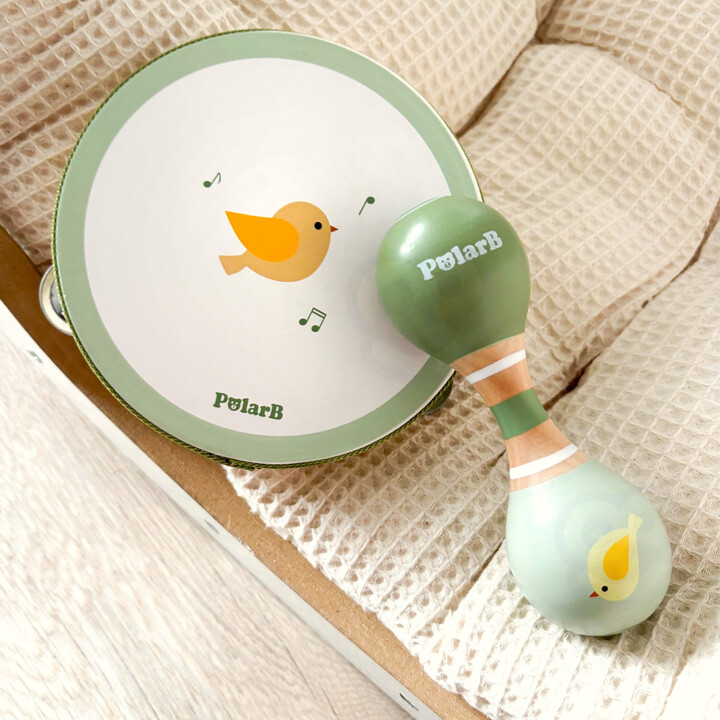 VIGA PolarB Musical Instrument Set Green
