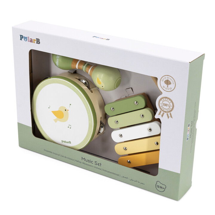 VIGA PolarB Musical Instrument Set Green