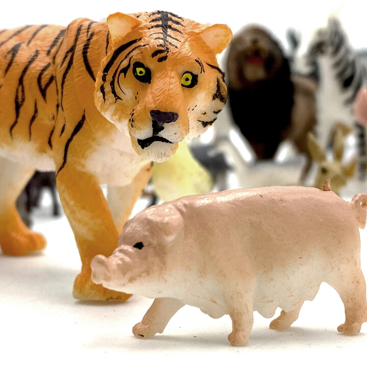 WOOPIE Set of Animal Figures XXL 58 pcs.