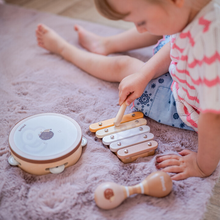 VIGA PolarB Musical Instrument Set with Hedgehog