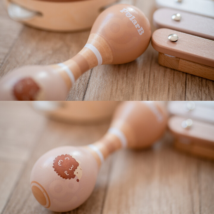 VIGA PolarB Musical Instrument Set with Hedgehog
