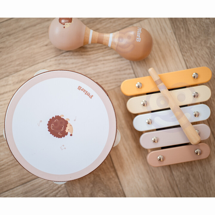 VIGA PolarB Musical Instrument Set with Hedgehog