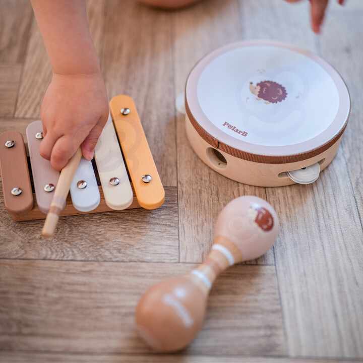 VIGA PolarB Musical Instrument Set with Hedgehog