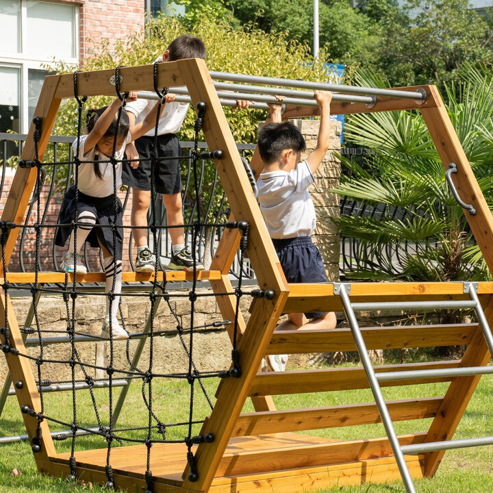 CLASSIC WORLD EDU Wooden Playground XXL Hexagonal Climbing Set