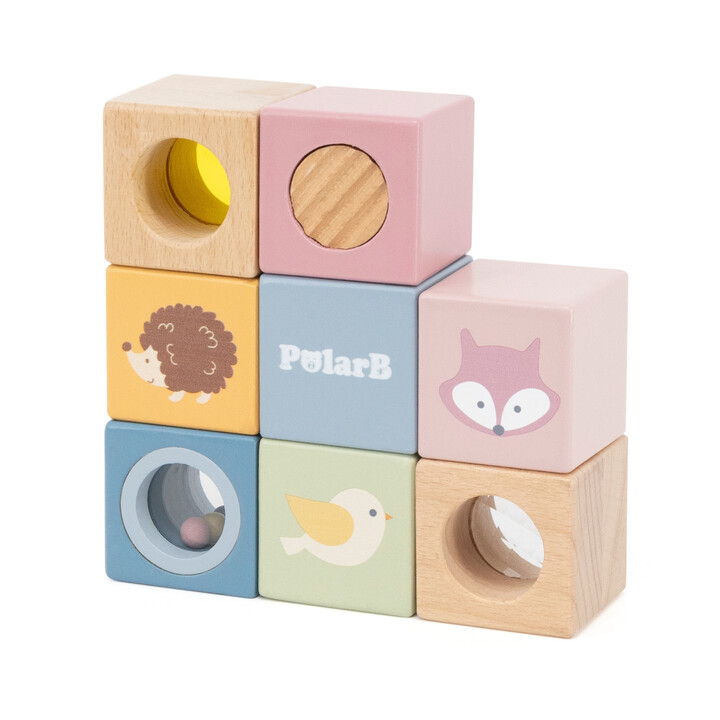 VIGA PolarB Wooden Sensory Blocks