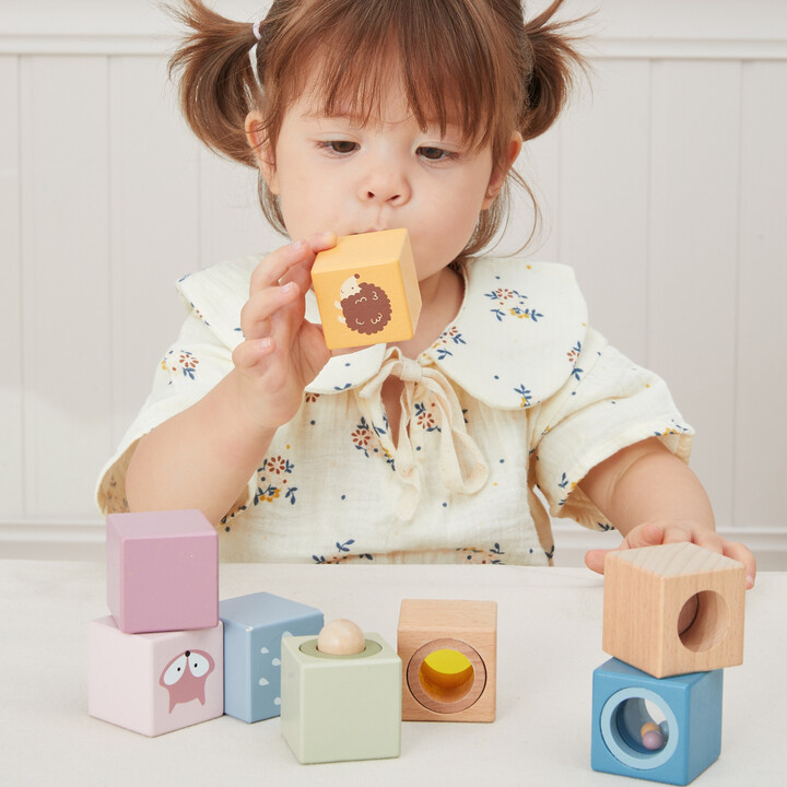 VIGA PolarB Wooden Sensory Blocks