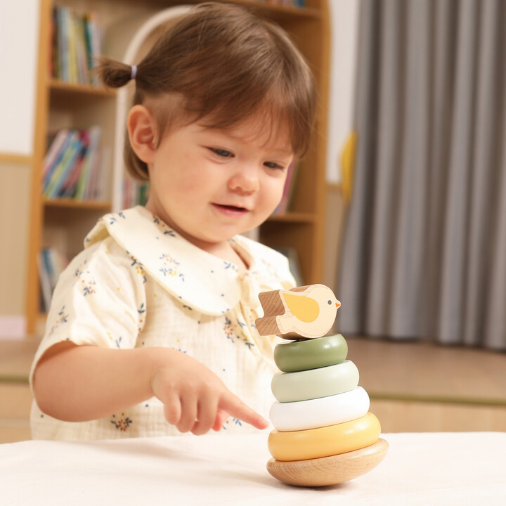 VIGA PolarB Wooden Educational Pyramid - Bird