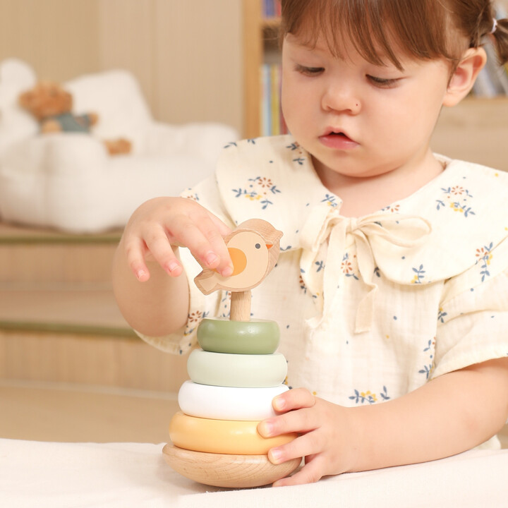 VIGA PolarB Wooden Educational Pyramid - Bird