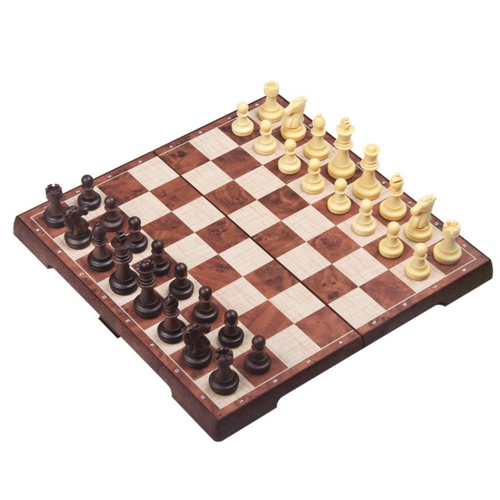 WOOPIE Chess Magnetic Checkers 2 in 1