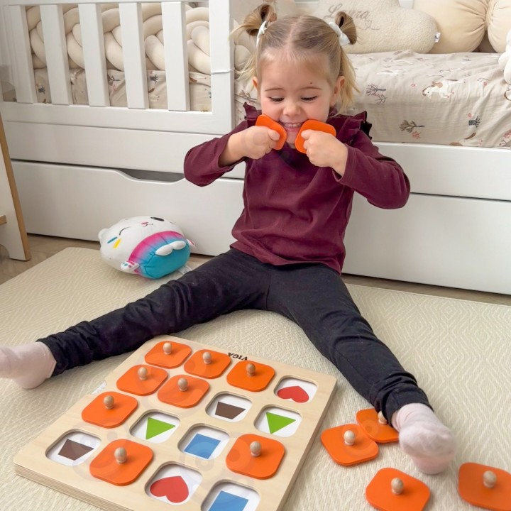 Viga Memory - Gra Pamięciowa Zgadnij Obrazki, 10 Kart Montessori