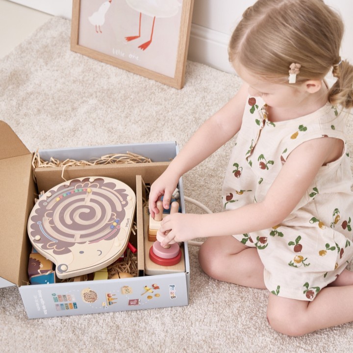 VIGA Educational Toy Box Set 24-36 months