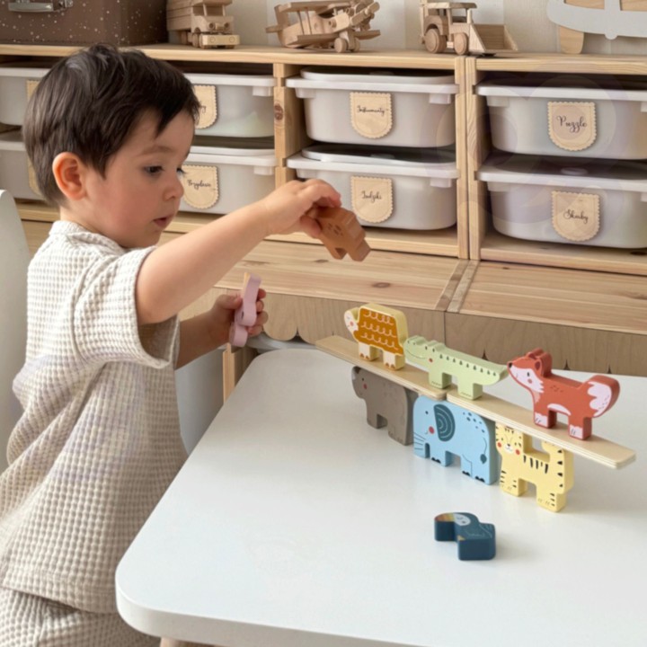 Drewniane Klocki Zwierzątka Montessori TOOKY TOY - 9 el.