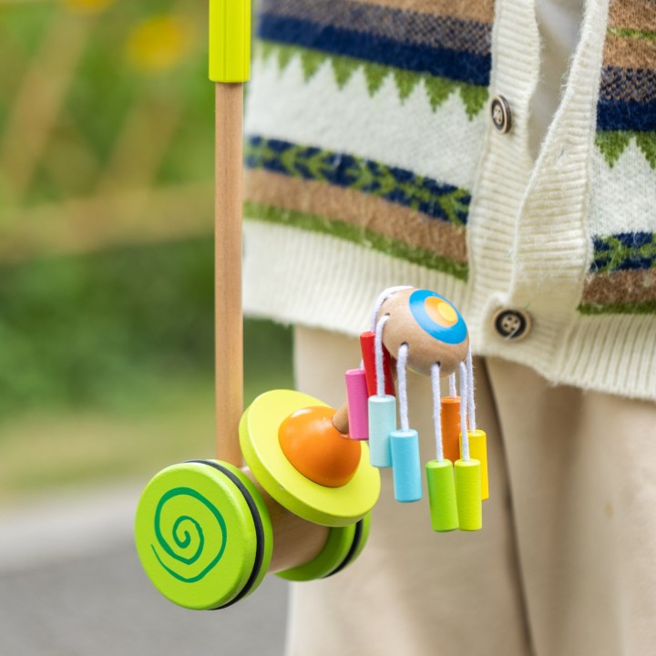 CLASSIC WORLD Push-Along Carousel for a Walk - A Joyful Toy for Children