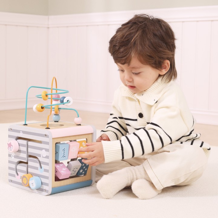 VIGA PolarB Activity Box 5in1 - Wooden Game Center for Children