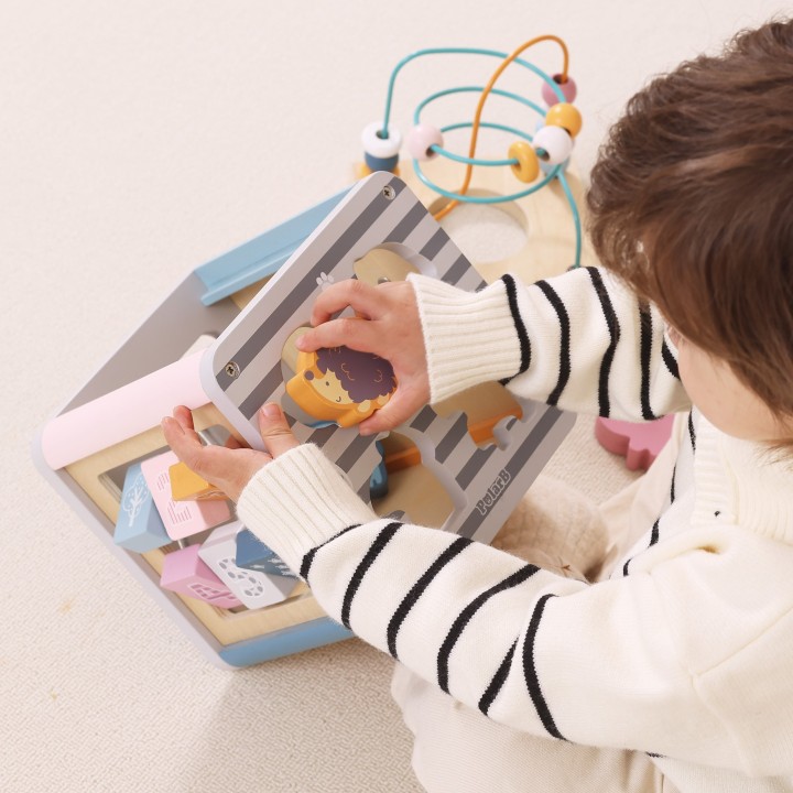 VIGA PolarB Activity Box 5in1 - Wooden Game Center for Children