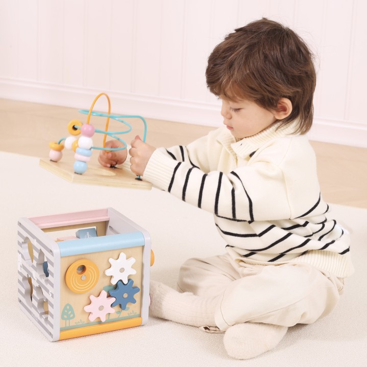 VIGA PolarB Activity Box 5in1 - Wooden Game Center for Children