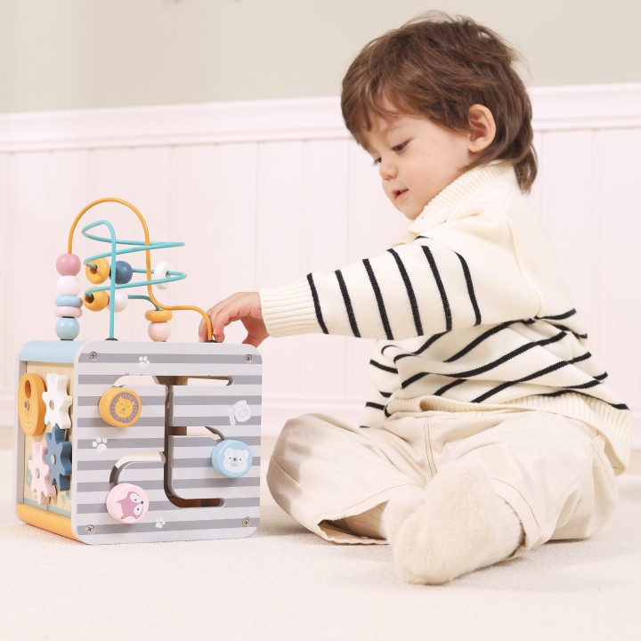 VIGA PolarB Activity Box 5in1 - Wooden Game Center for Children