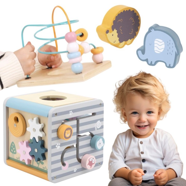 VIGA PolarB Activity Box 5in1 - Wooden Game Center for Children