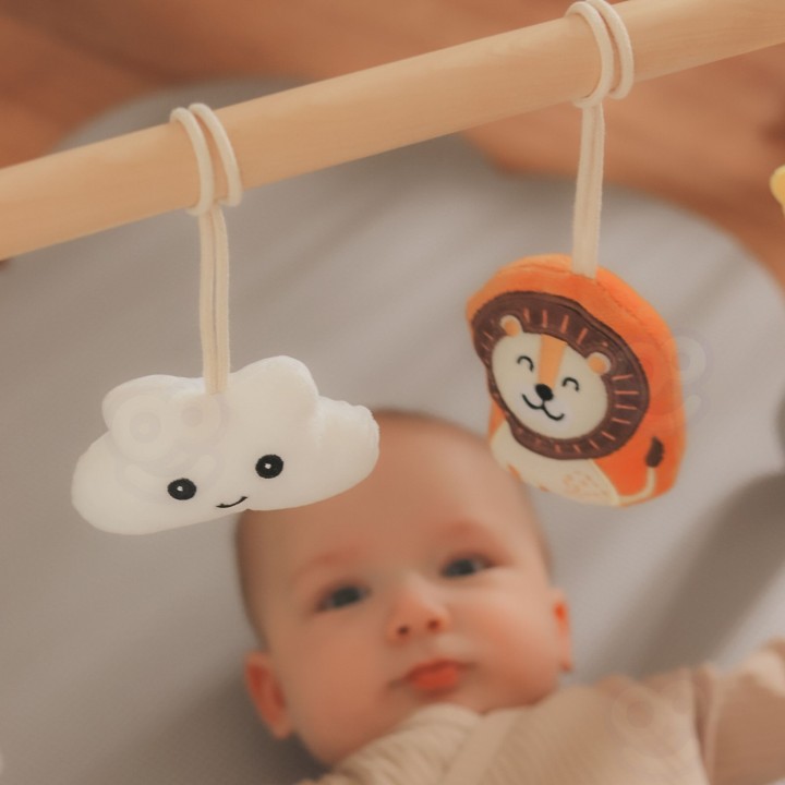 VIGA PolarB Pałąk Stojak dla Niemowląt Baby Gym - Zabawka edukacyjna