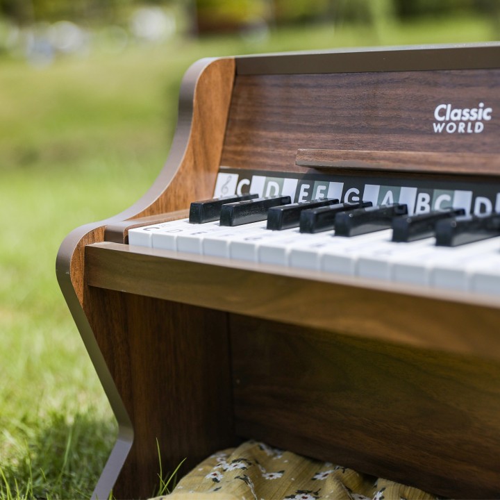 CLASSIC WORLD Wooden Classical Piano with Learning Book