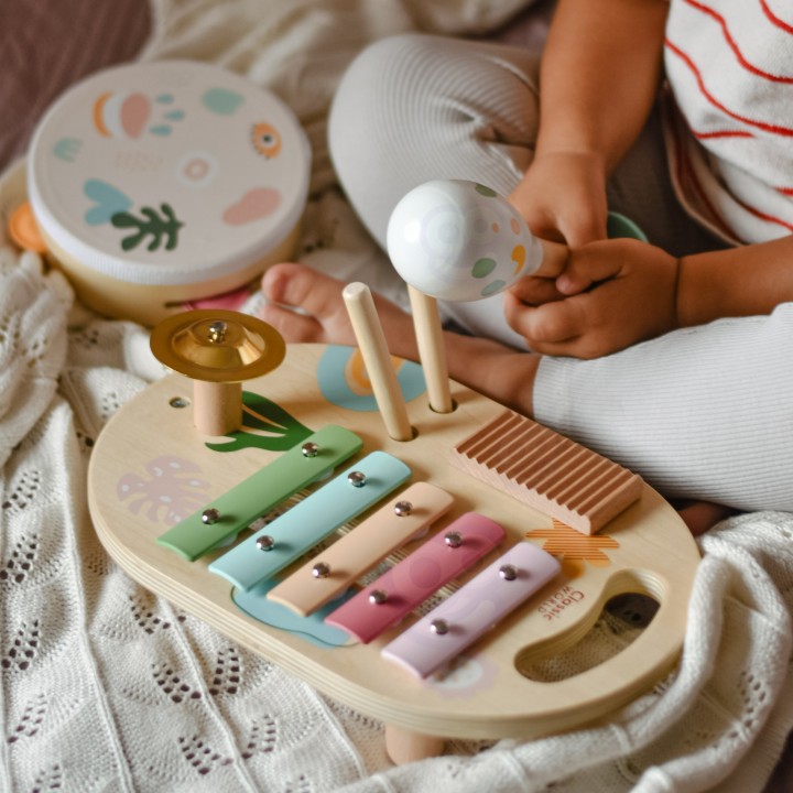 CLASSIC WORLD Set of Musical Instruments for Children 5 pcs.