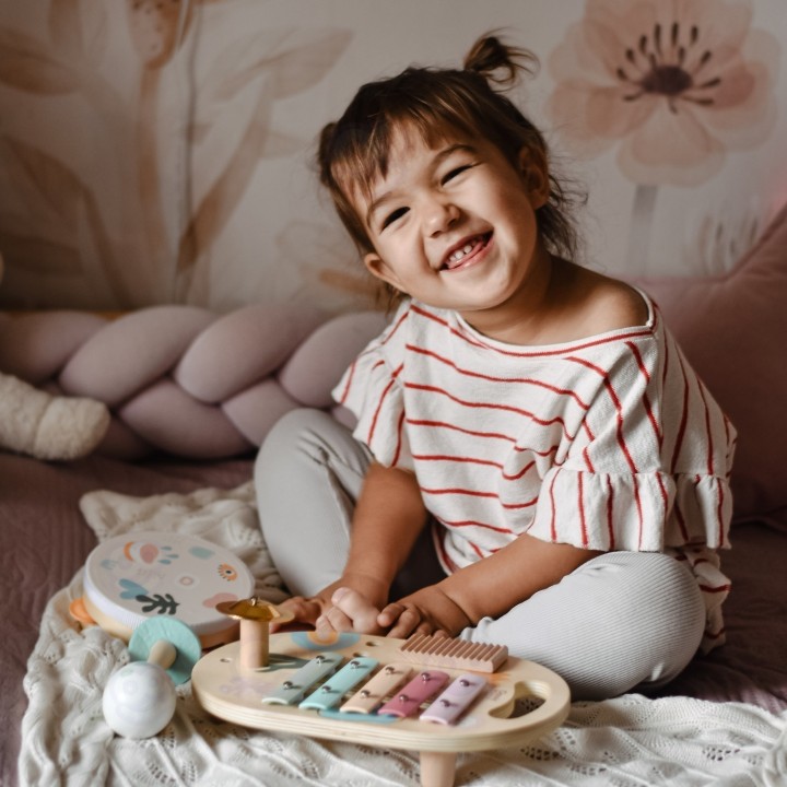 CLASSIC WORLD Set of Musical Instruments for Children 5 pcs.