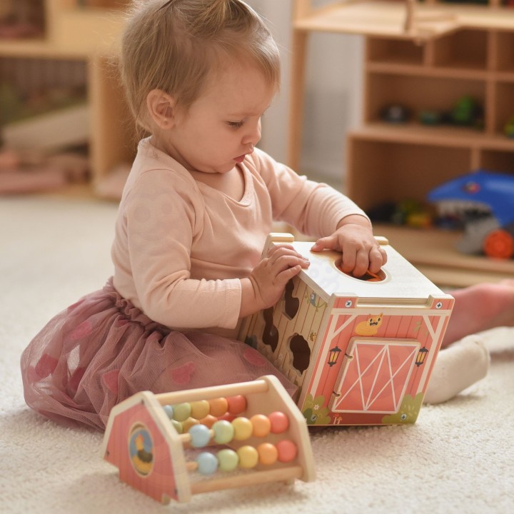 Wooden Sorter Farm Tooky Toy-Abacus Shapes Animals Education