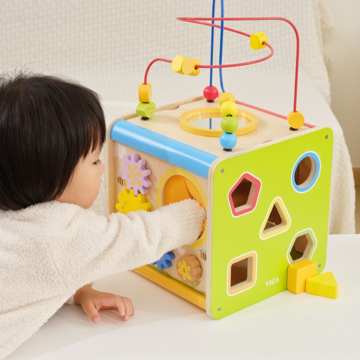 Viga Wooden Educational Cube 5 in 1 - Fun and Learning for Children