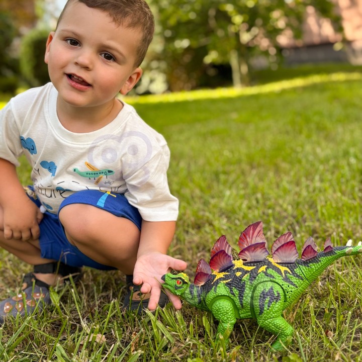 WOOPIE Dinosaur RC Stegosaurus - Remote Controlled Robot