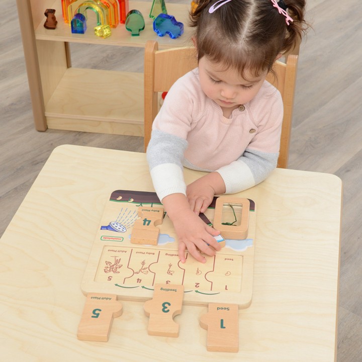 Masterkidz Bean Life Cycle Wooden Board - STEM Learning