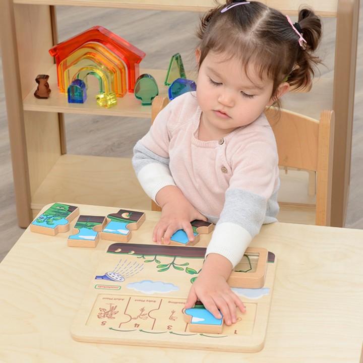 Drewniana tablica cykl życia fasoli Masterkidz - nauka STEM