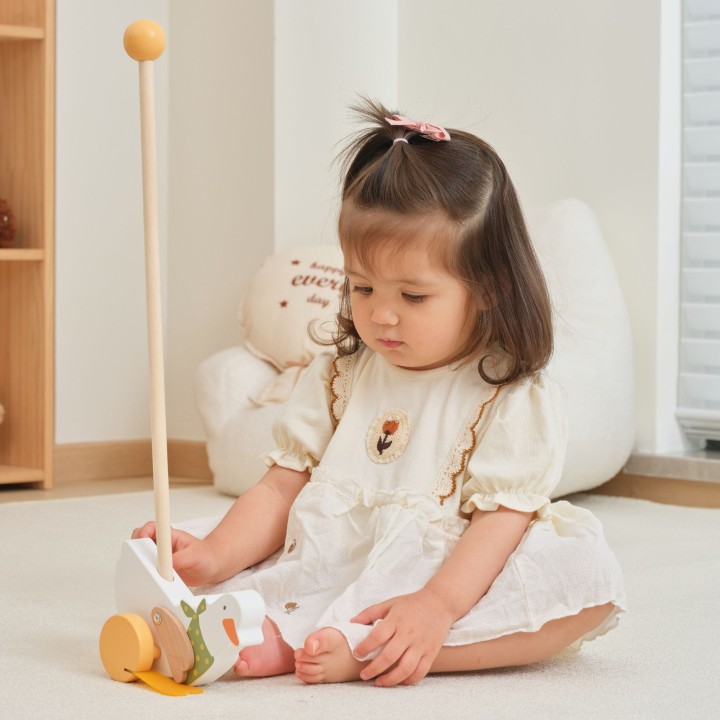 VIGA PolarB Wooden Goose for Pushing on a Stick 12m+