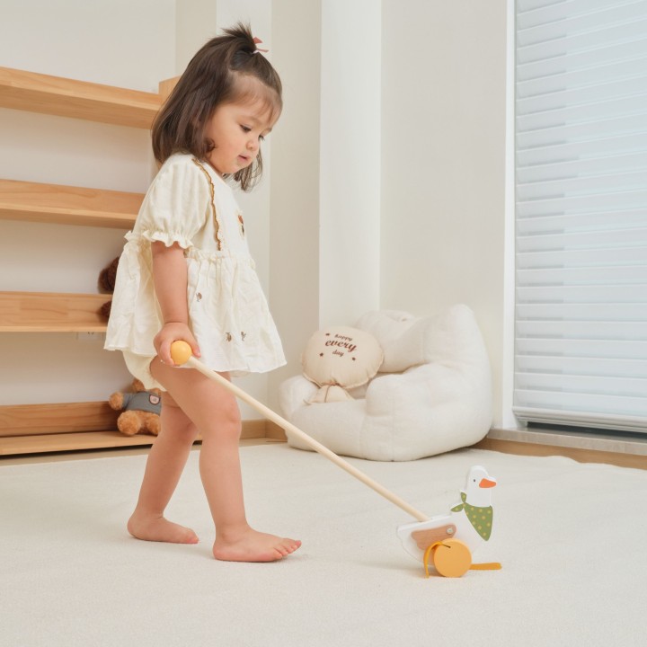 VIGA PolarB Wooden Goose for Pushing on a Stick 12m+