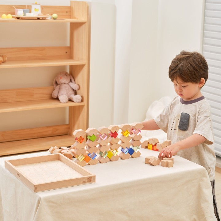 VIGA Wooden Acrylic Light Blocks 66 pcs.