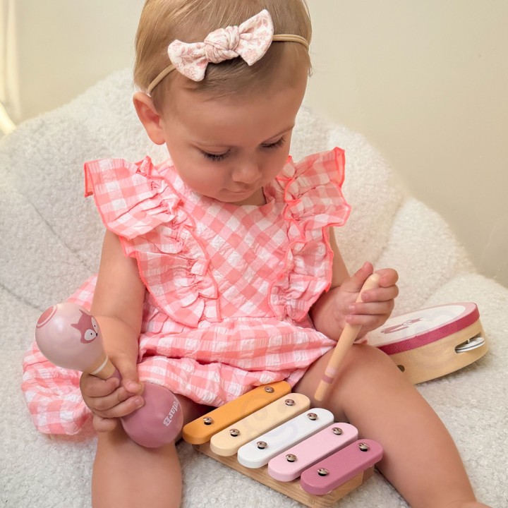 VIGA PolarB Pink Musical Instrument Set - Music for Children